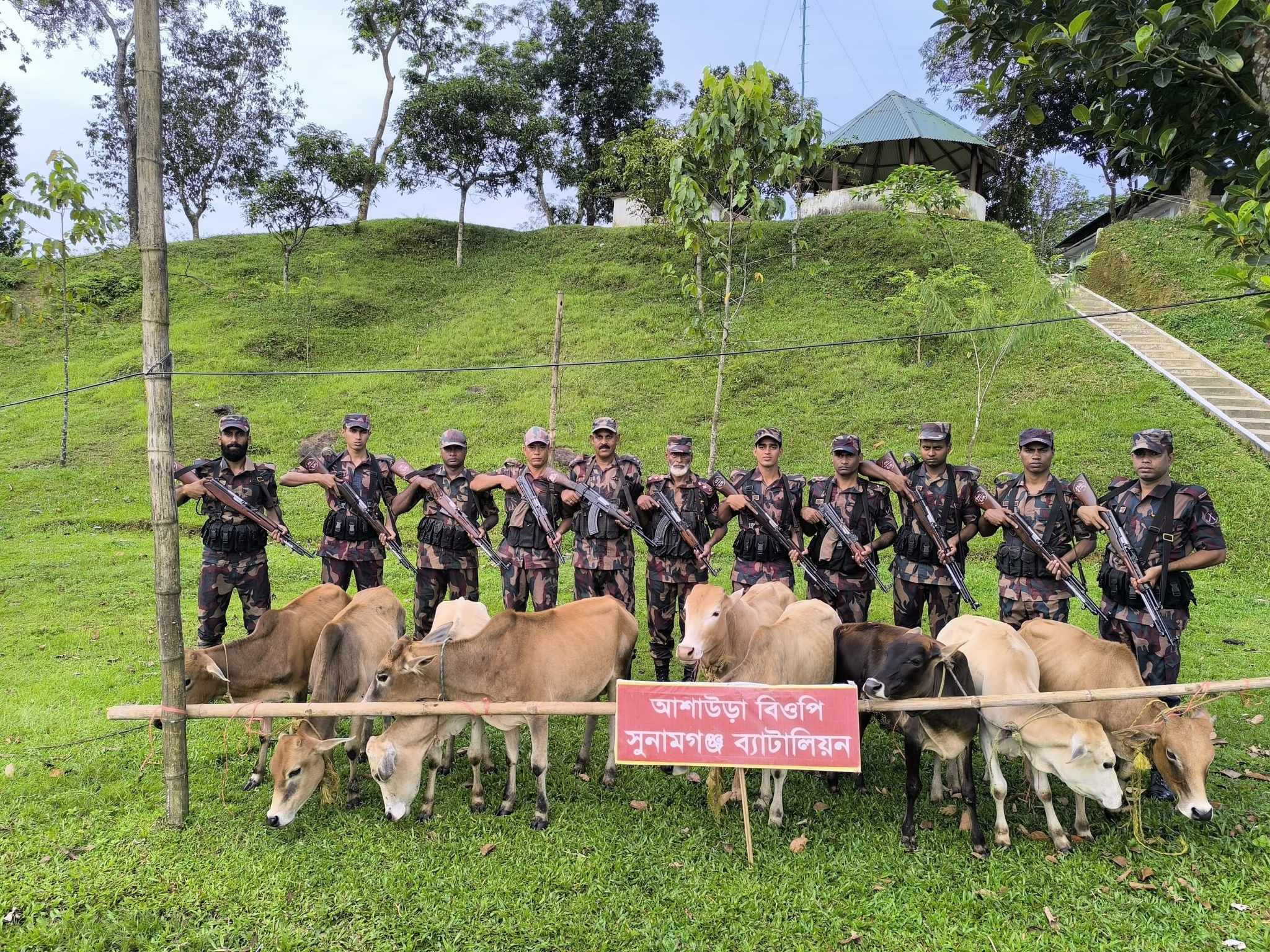 সুনামগঞ্জে বিজিবি”র অভিযানে মালিক বিহীন ৯টি ভারতীয় অবৈধ গরু আটক