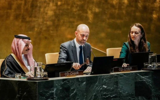 গাজায় যুদ্ধবিরতি ও ফিলিস্তিন রাষ্ট্র প্রতিষ্ঠার আহ্বান সৌদি আরব ও ফ্রান্সের