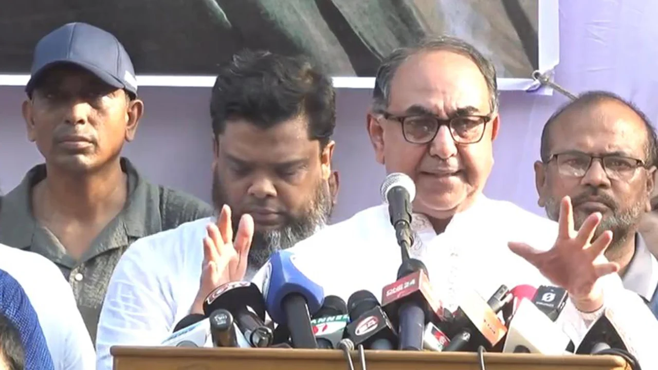 অন্তর্বর্তী সরকারের কোলে একদল, কাঁধে আরেক দল- মির্জা আব্বাস