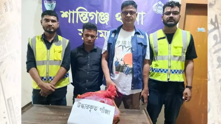 শান্তিগঞ্জে ২ কেজি গাঁজা সহ মাদক ব্যবসায়ী গ্রেফতার