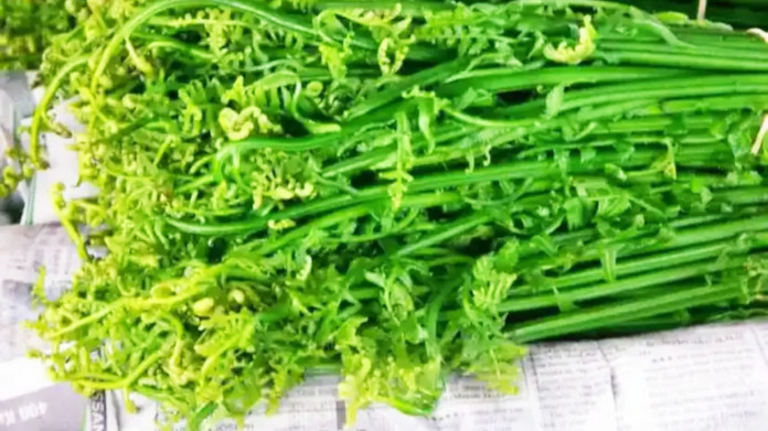 ঢেঁকি শাকের স্বাস্থ্য উপকারিতা ও পুষ্টিগুণ