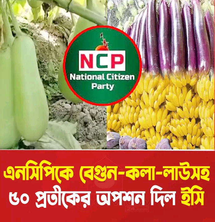 এনসিপির জন্য ইসির তালিকায় কলা, বেগুন ও লাউ সহ ৫০টি প্রতীক