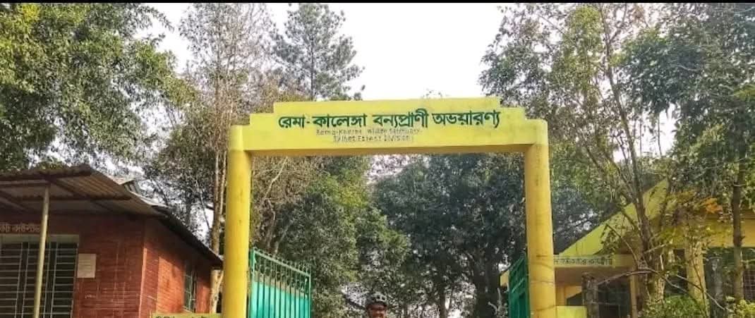 রেমা-কালেঙ্গা বনে গোলাগুলি: ১০ জনের নামসহ ৫০ জনের বিরুদ্ধে অস্ত্র মামলা