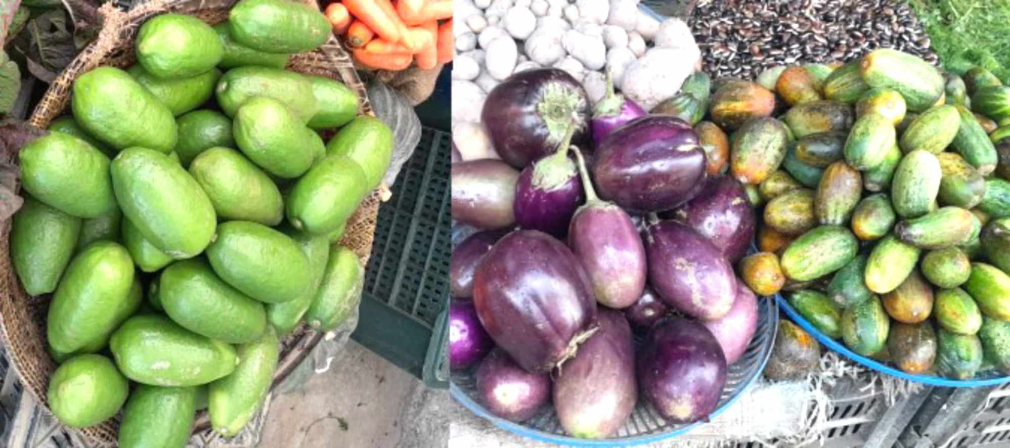 জগন্নাথপুরে লেবু, বেগুন ও ক্ষিড়ার মূল্য আকাশচুম্বী, প্রয়োজন বাজার মনিটরিং