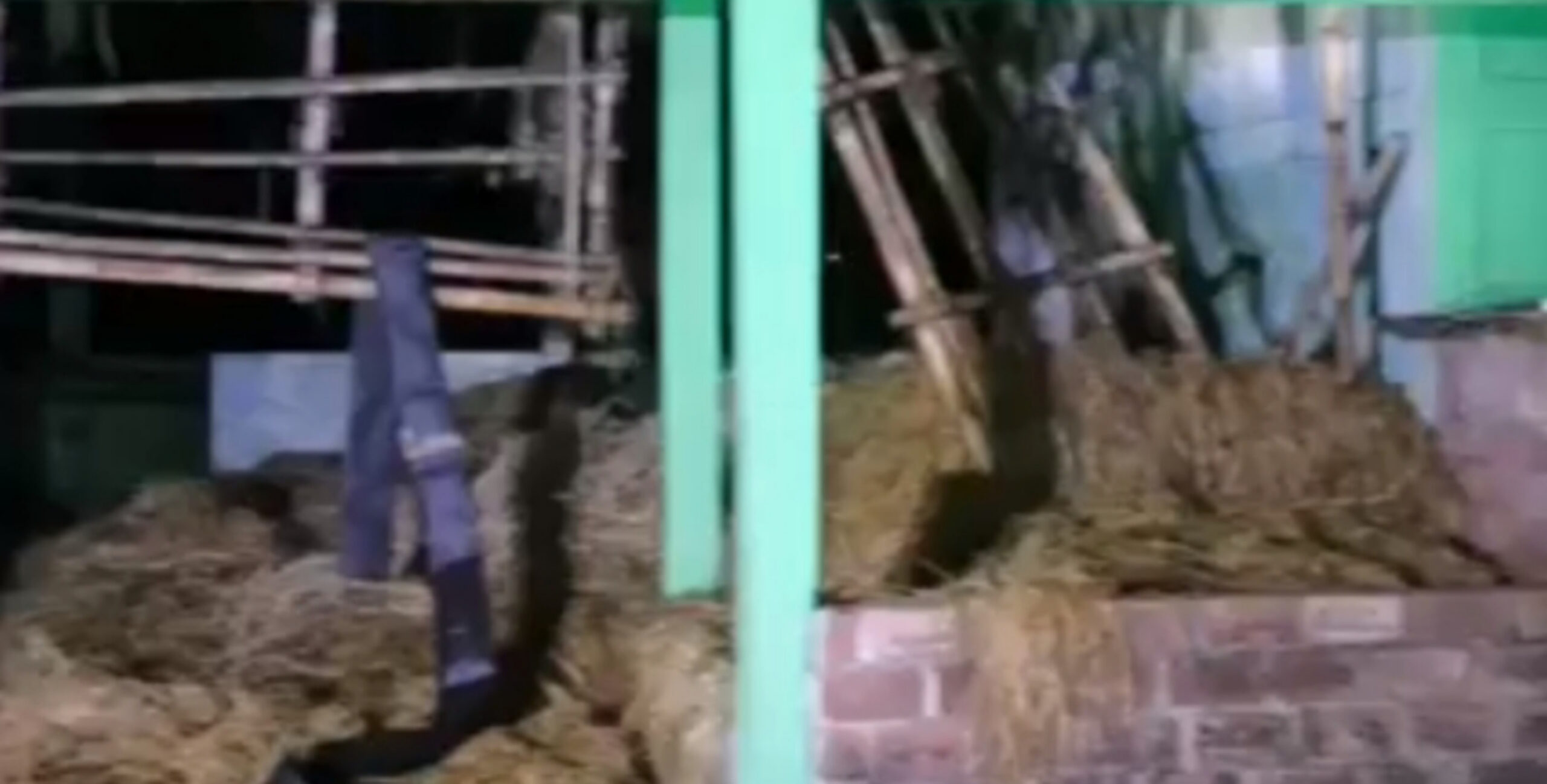 জগন্নাথপুরের জগদীশপুরে খড়ের ঘর আগুনে পুড়ে ছাঁই, আড়াই লক্ষাধিক টাকার ক্ষয়ক্ষতি