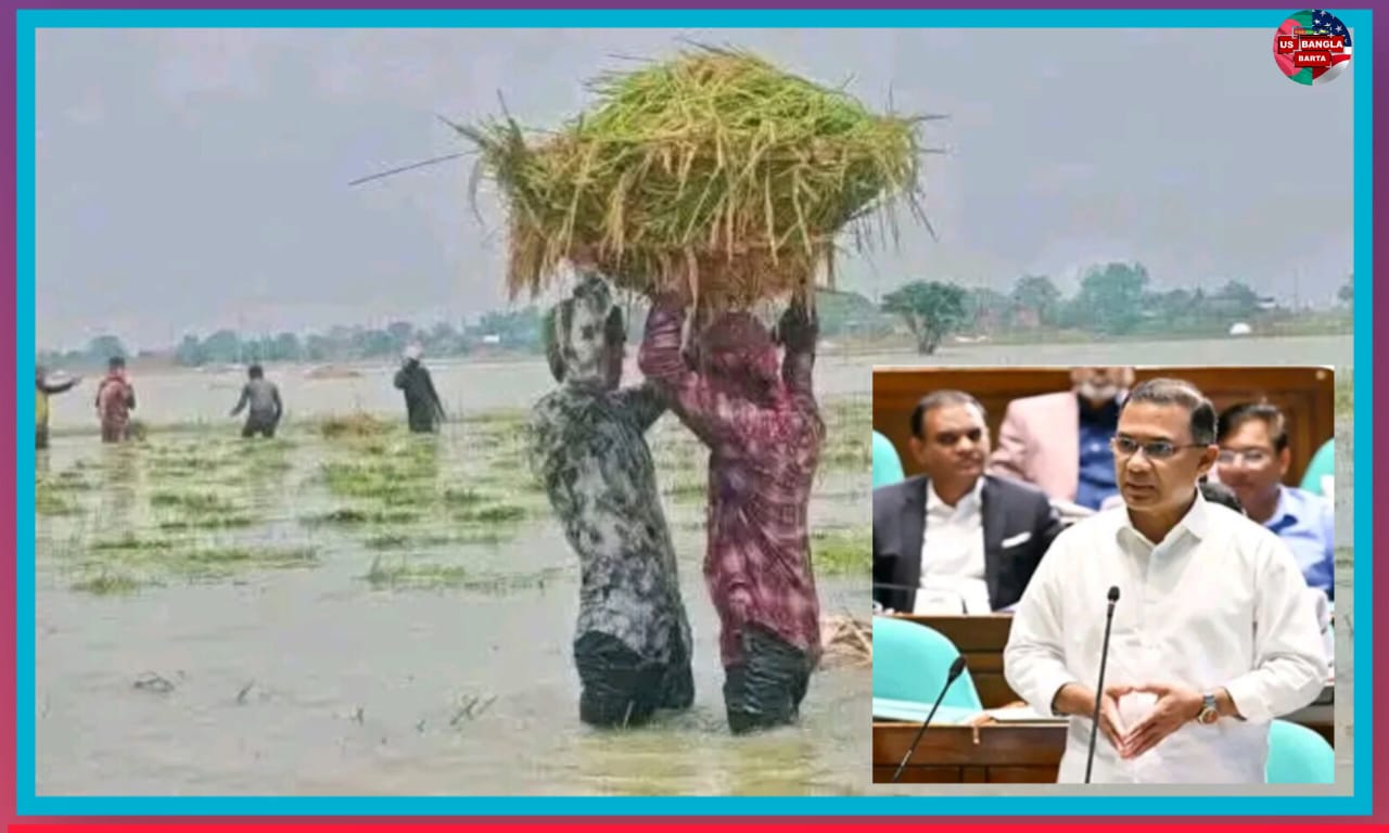 সুনামগঞ্জ, সিলেট ও নেত্রকোনায় ক্ষতিগ্রস্ত কৃষকদের সহায়তা দেওয়া হবে – প্রধানমন্ত্রী তারেক রহমান