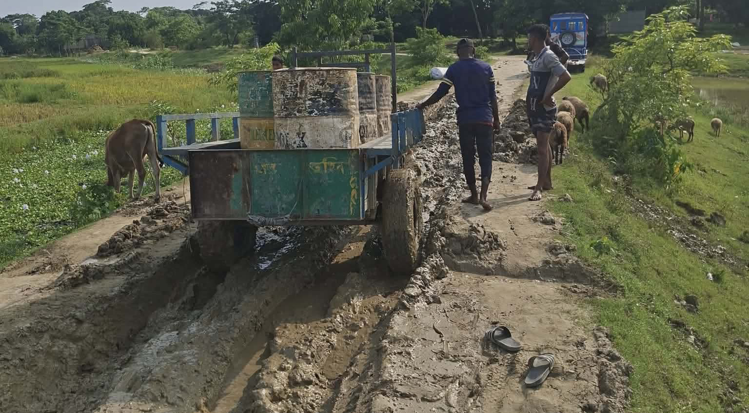 দিরাইয়ে গ্রামীণ সড়কের বেহাল দশা, তিন উপজেলার মানুষের চরম ভোগান্তি 