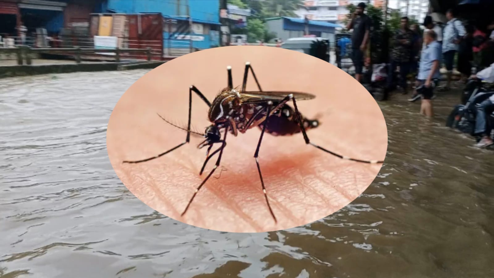 বন্যার পর চট্টগ্রামে বাড়ছে ডেঙ্গুর প্রকোপ, প্রতিরোধে জোর দিচ্ছে চসিক ও জেলা প্রশাসন