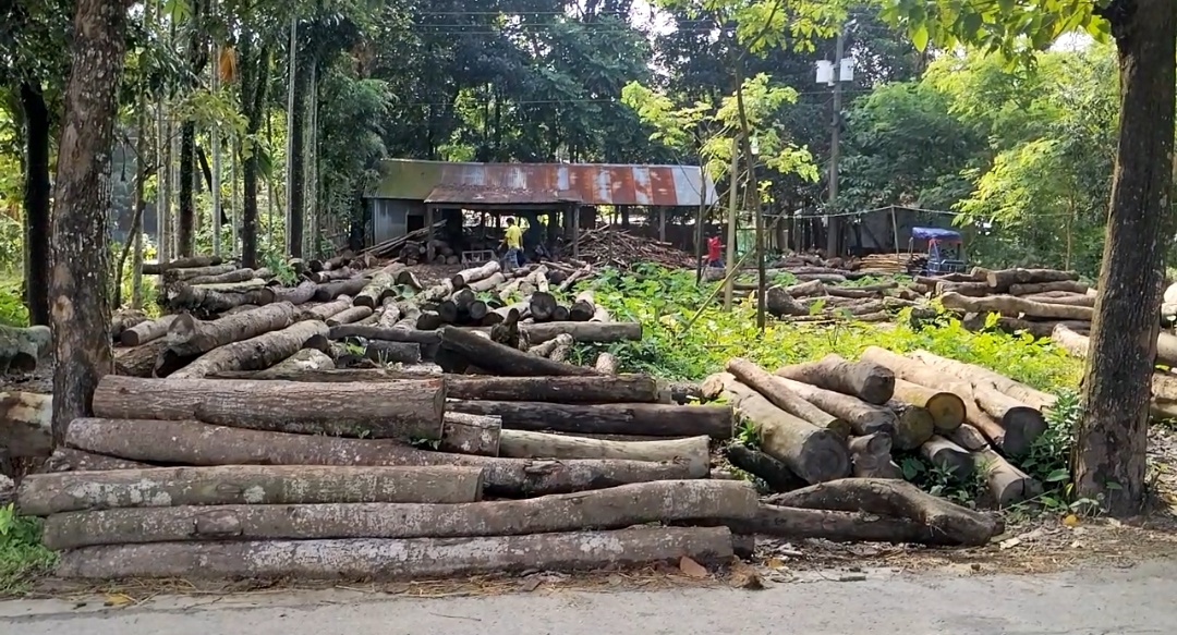 সুনামগঞ্জের মঙ্গলকাটায় প্রশাসনের  নিষেধাজ্ঞা অমান্য করে স মিল চালাচ্ছেন মিল মালিক আব্দুস সালাম