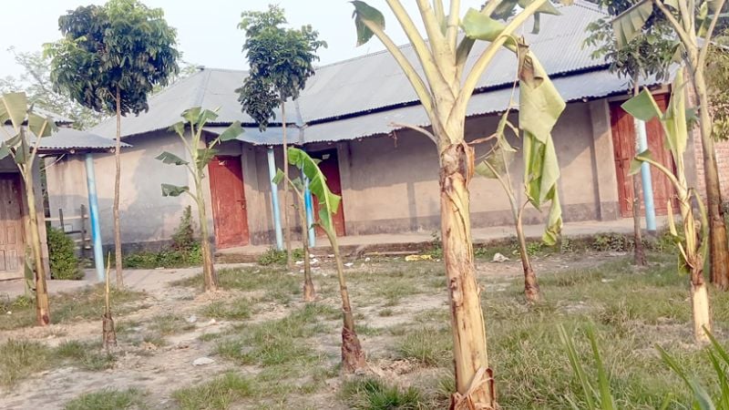 রাজশাহীতে ছেলে ও পুত্রবধূকে চাকরি না দেওয়ায় স্কুল মাঠে কলাগাছ লাগালেন জমিদাতা, শিক্ষকদের কার্যালয়ে তালা